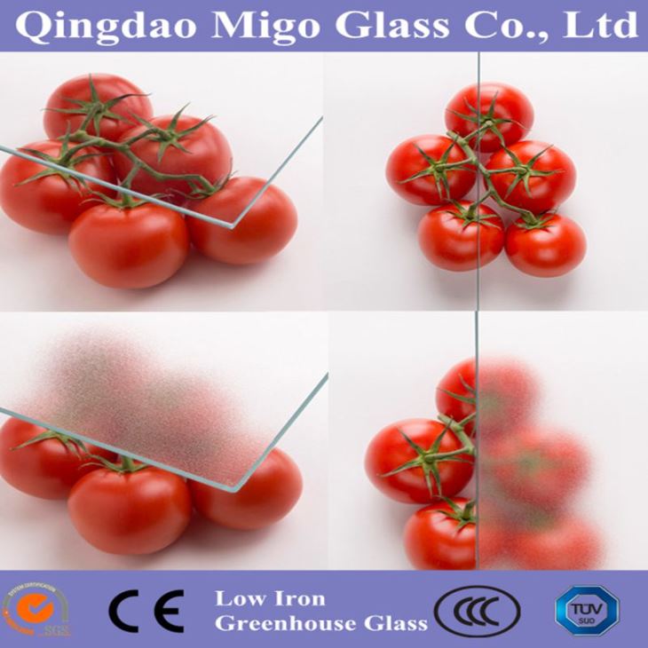 Vidrio difuso para invernadero