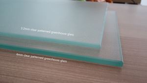 Invernadero con vidrio claro