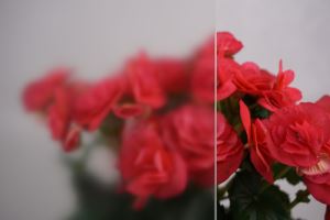 Haze efecto invernadero cristal