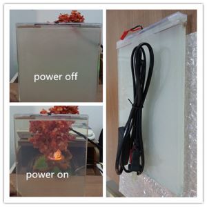 Vidrio inteligente conmutable