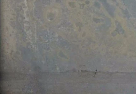 info-442-307 info-442-307