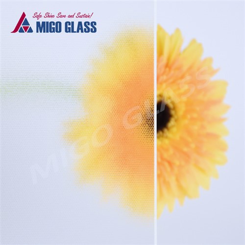 Vidrio solar con revestimiento AR