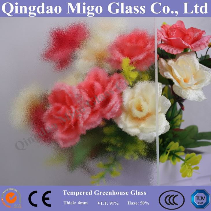 4mm templado vidrio Solar de textura mate/Matt con la certificación del SGS