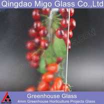 Vidrio de invernadero prismático mate