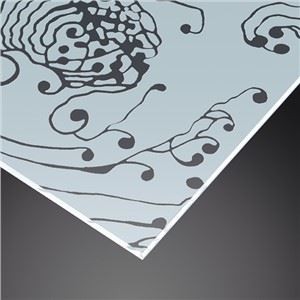 Vidrio esmerilado pulido con chorro de arena