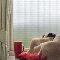 Vidrio cableado oscurecido